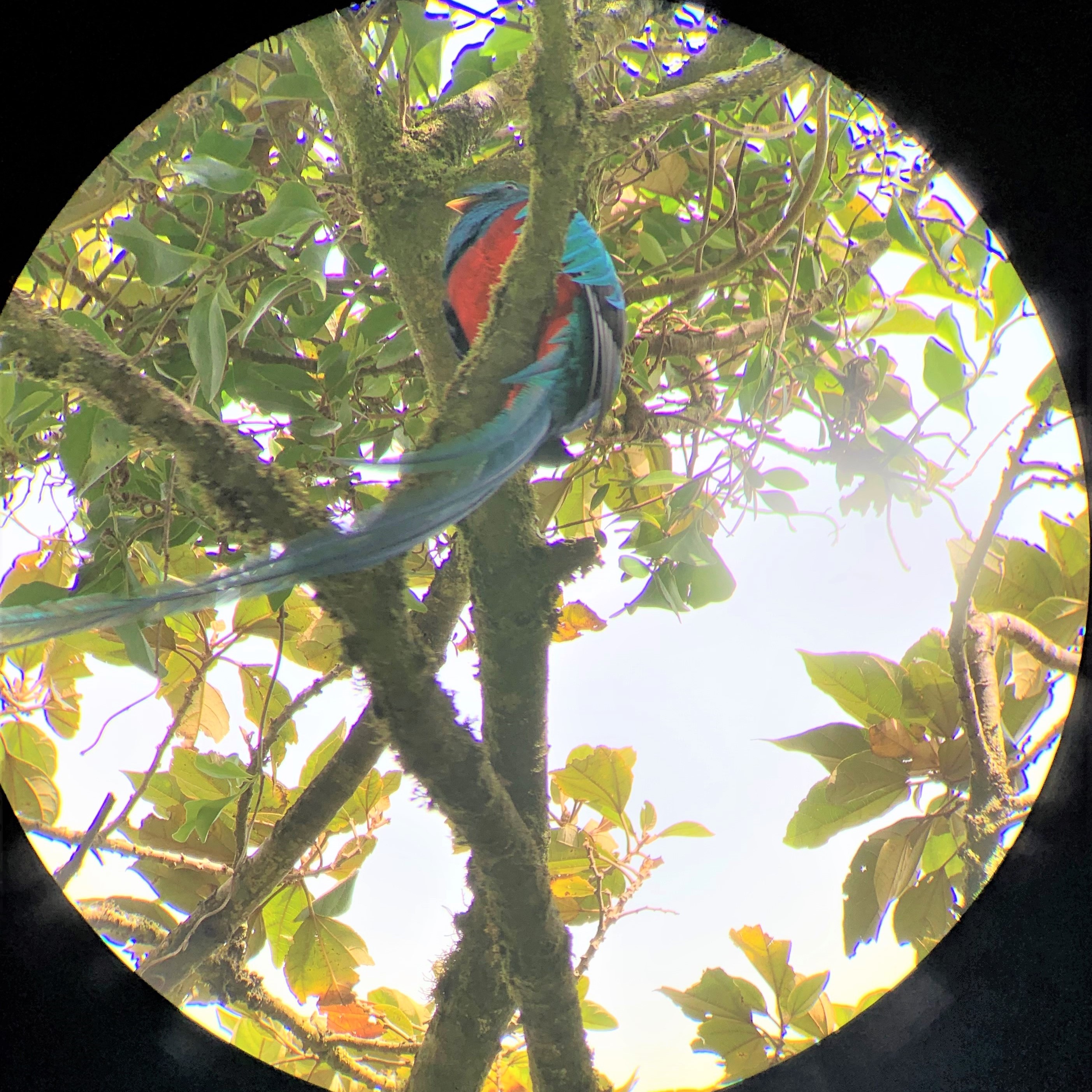 Costa Rica
